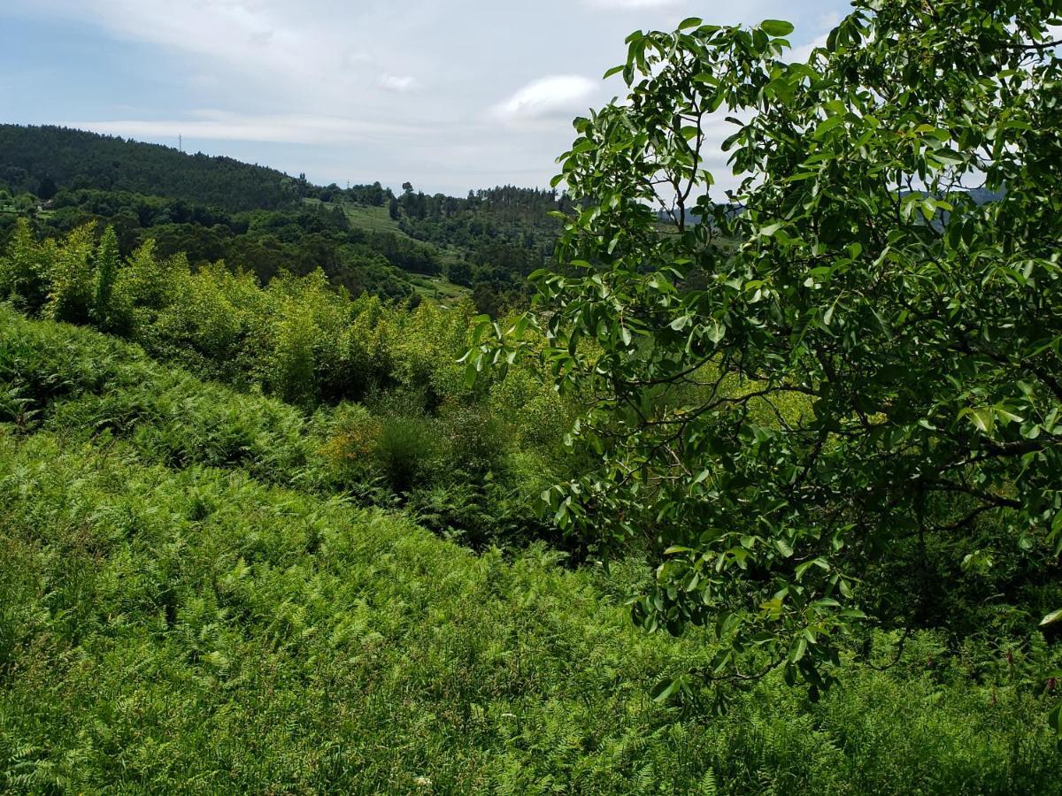 Гостьовий будинок Casa Rural Do Fontan Понтеведра Екстер'єр фото